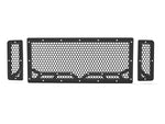 Copy of 2008-2010 Ford F-250 / F-350 Super Duty, Grille 1
