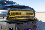 Front view of 19-24 ram with custom grille