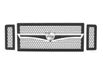 2008-2010 Ford F-250 / F-350 Super Duty, Grille 2